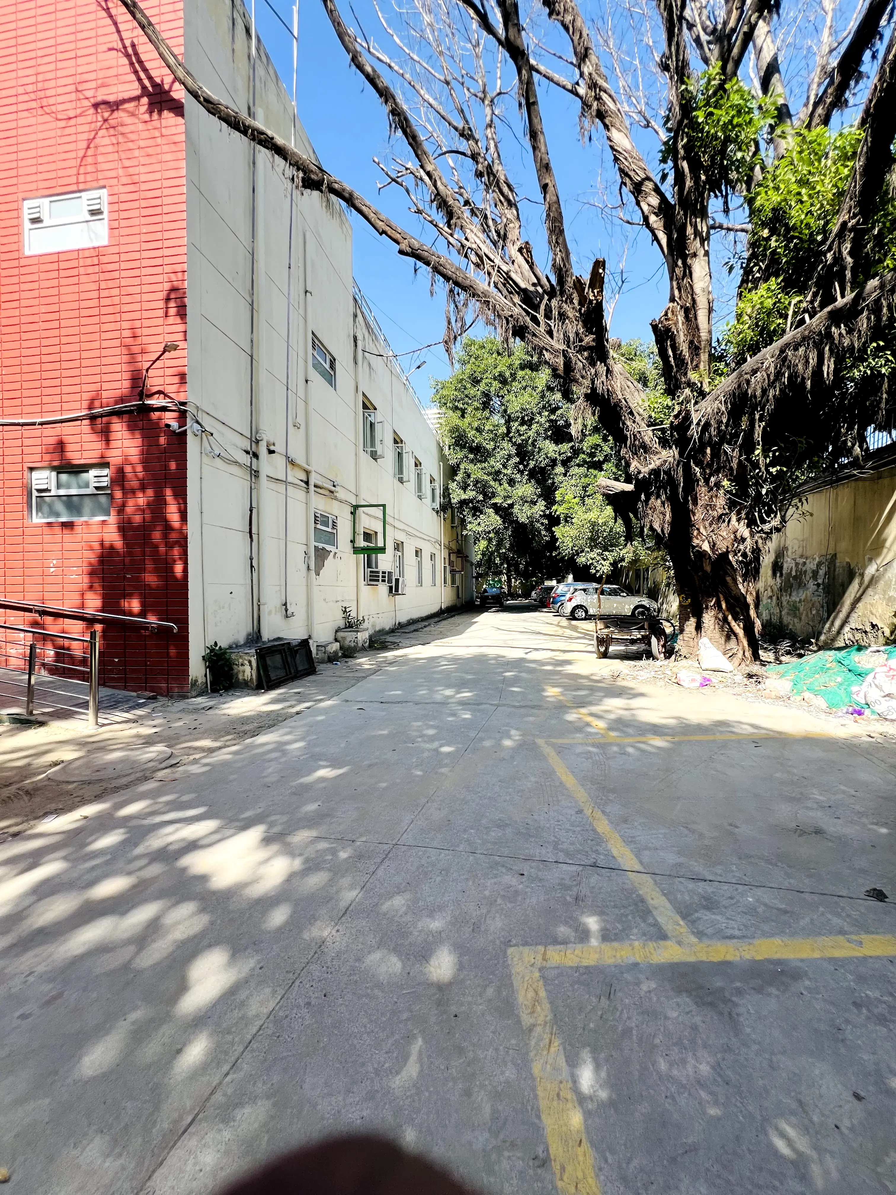 PGDAV College Campus photo 20